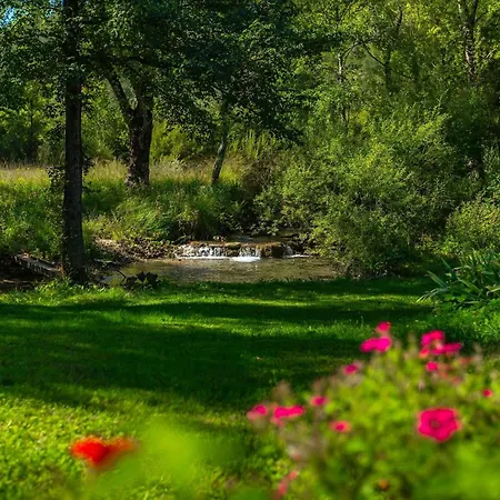 Lejlighed Alte Muehle By Interhome Buzet