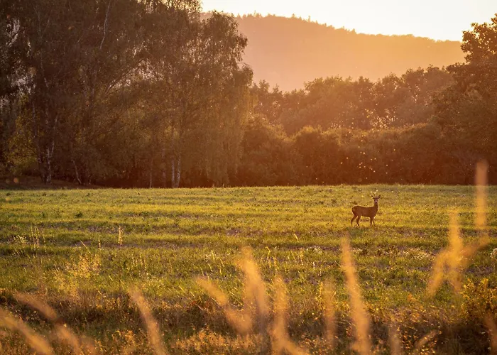 Apartment Alte Muehle By Interhome
