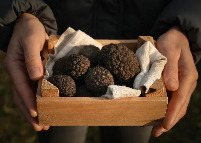 Apartment Alte Muehle By Interhome *